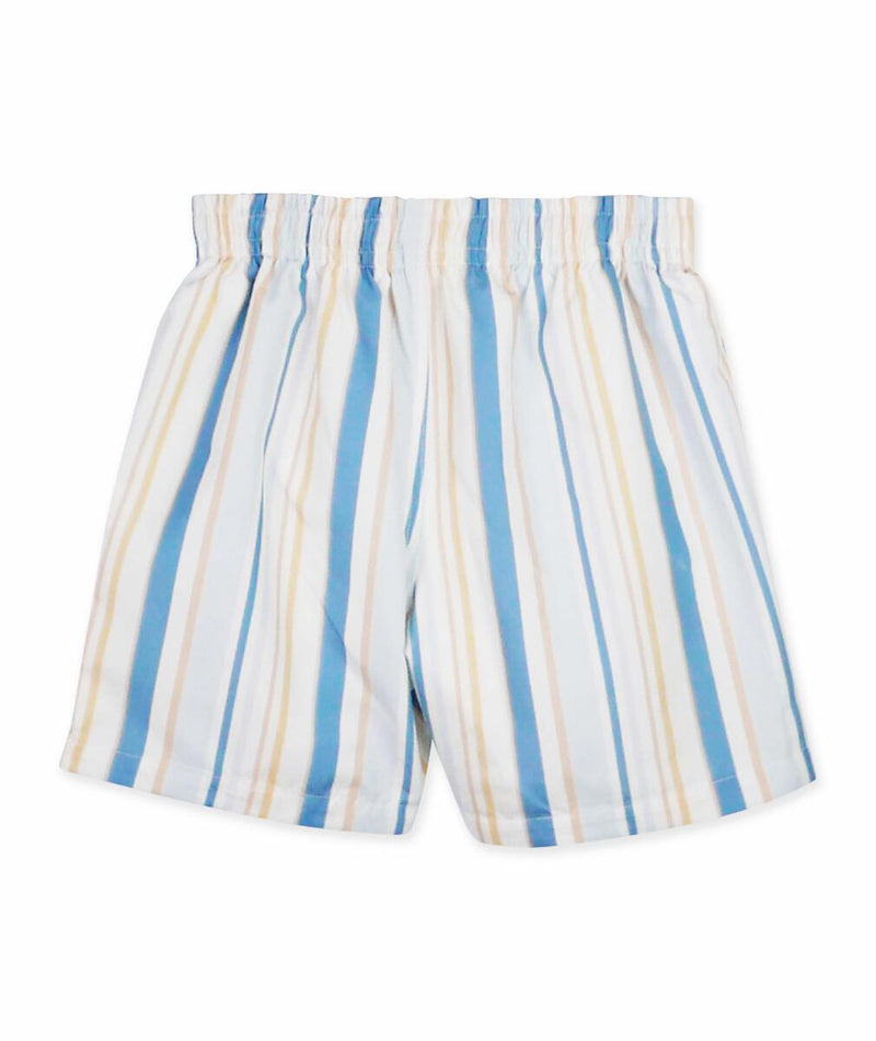 Stripes Print Swim Shorts
