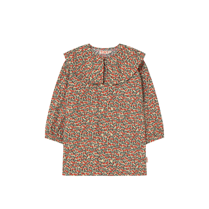 Mini Apples Dress
