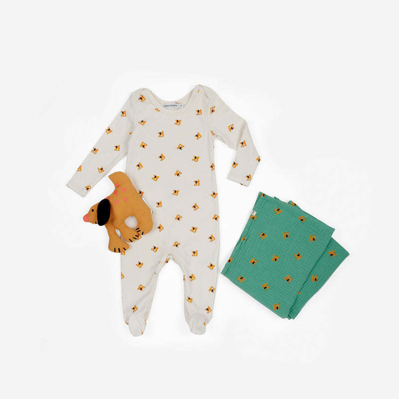 Baby Fairy Dog gift set