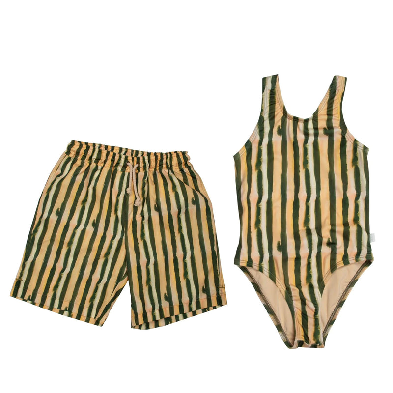 Stripes Swimsuit and matching swimming shorts