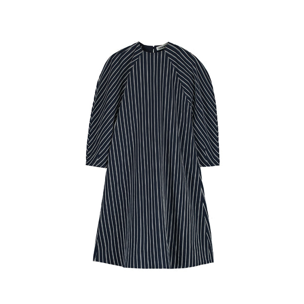 Puff Sleeve Dress