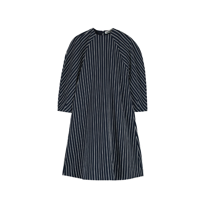 Puff Sleeve Dress