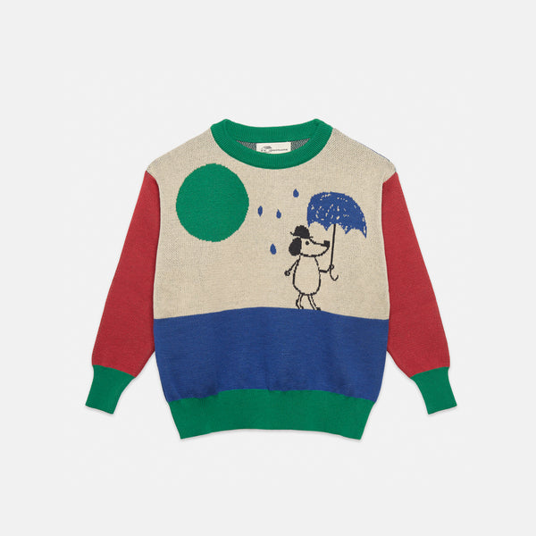 Rainy Dog Jumper