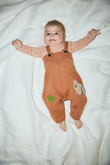 Baby Palomino Meadow 2 pcs Set