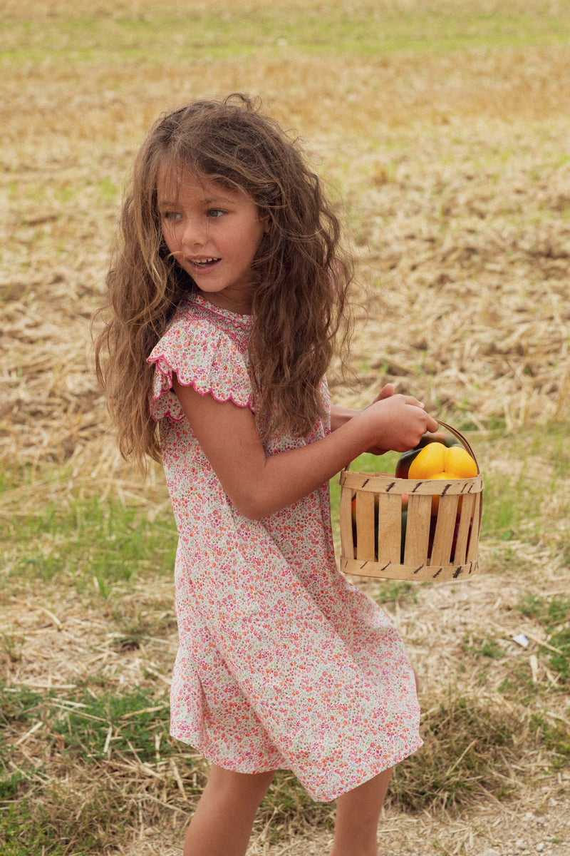 STELLA Dress in Liberty Phoebe Corail