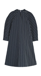 Puff Sleeve Dress