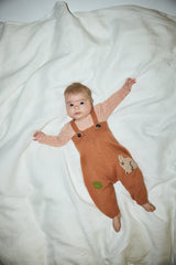 Baby Palomino Meadow 2 pcs Set