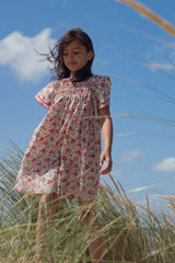 Felicite Poppy Liberty Dress