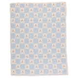 Teddy Blanket