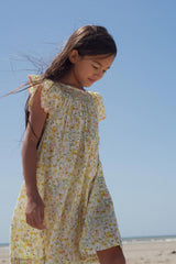 Inky Fields Liberty Dress