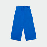 Blue Canvas Pants