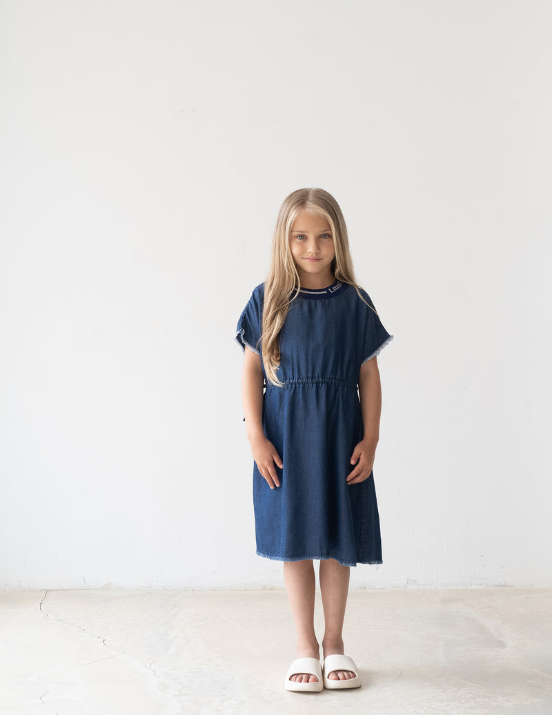Chambray Dress Nr. 23